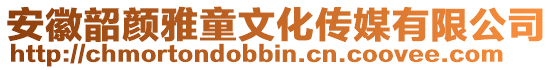 安徽韶顏雅童文化傳媒有限公司