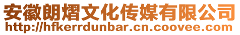 安徽朗熠文化傳媒有限公司