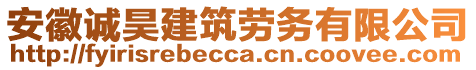 安徽誠(chéng)昊建筑勞務(wù)有限公司