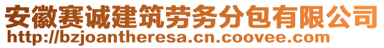 安徽賽誠建筑勞務分包有限公司