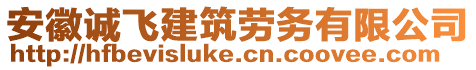 安徽誠飛建筑勞務(wù)有限公司