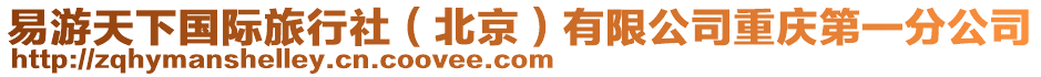 易游天下國際旅行社(北京)有限公司重慶第一分公司