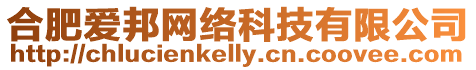 合肥愛(ài)邦網(wǎng)絡(luò)科技有限公司
