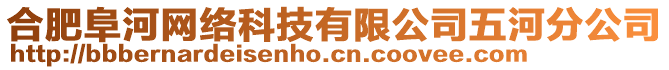 合肥阜河網(wǎng)絡(luò)科技有限公司五河分公司