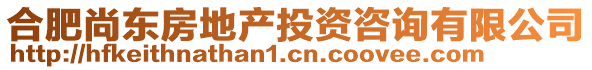 合肥尚東房地產(chǎn)投資咨詢有限公司