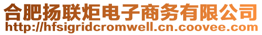 合肥揚聯(lián)炬電子商務(wù)有限公司