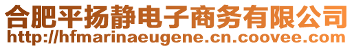 合肥平揚(yáng)靜電子商務(wù)有限公司