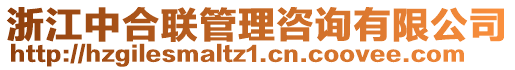 浙江中合聯(lián)管理咨詢有限公司