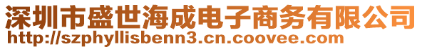 深圳市盛世海成電子商務(wù)有限公司