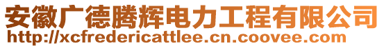 安徽廣德騰輝電力工程有限公司