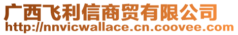 廣西飛利信商貿有限公司