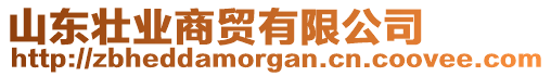 山東壯業(yè)商貿(mào)有限公司