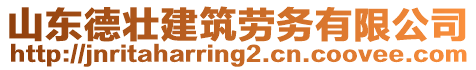 山東德壯建筑勞務(wù)有限公司