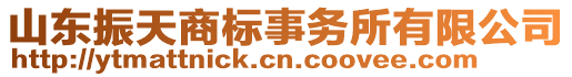 山東振天商標(biāo)事務(wù)所有限公司