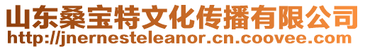 山東桑寶特文化傳播有限公司