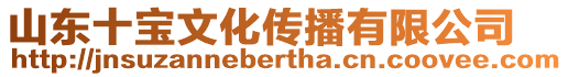 山東十寶文化傳播有限公司