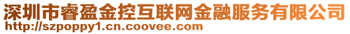 深圳市睿盈金控互聯(lián)網(wǎng)金融服務(wù)有限公司