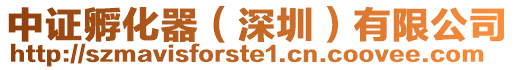 中證孵化器（深圳）有限公司