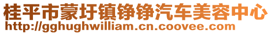 桂平市蒙圩鎮(zhèn)錚錚汽車美容中心