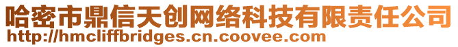 哈密市鼎信天創(chuàng)網(wǎng)絡(luò)科技有限責(zé)任公司