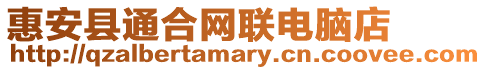 惠安縣通合網聯電腦店