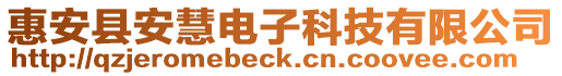 惠安縣安慧電子科技有限公司