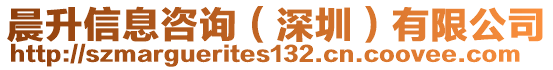 晨升信息咨詢（深圳）有限公司