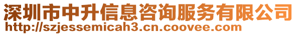 深圳市中升信息咨詢服務有限公司