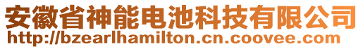 安徽省神能电池科技有限公司