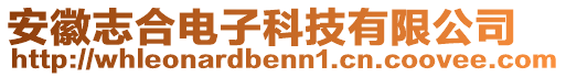 安徽志合電子科技有限公司