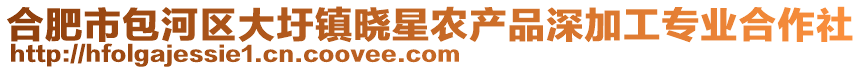 合肥市包河區(qū)大圩鎮(zhèn)曉星農(nóng)產(chǎn)品深加工專業(yè)合作社