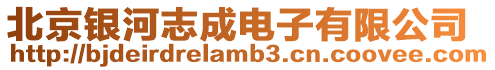 北京銀河志成電子有限公司
