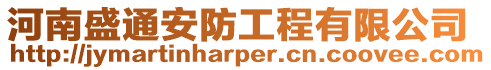河南盛通安防工程有限公司