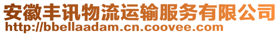 安徽豐訊物流運(yùn)輸服務(wù)有限公司
