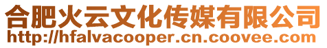 合肥火云文化傳媒有限公司