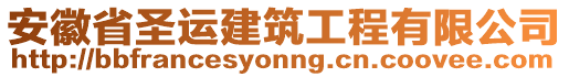 安徽省圣運建筑工程有限公司