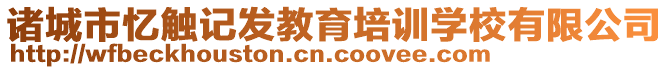 諸城市憶觸記發(fā)教育培訓學校有限公司