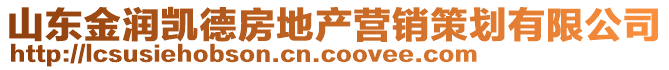 山東金潤(rùn)凱德房地產(chǎn)營(yíng)銷(xiāo)策劃有限公司