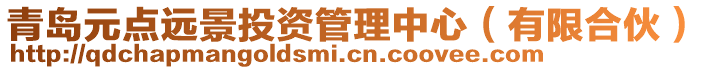 青島元點(diǎn)遠(yuǎn)景投資管理中心（有限合伙）