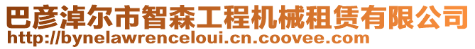 巴彥淖爾市智森工程機(jī)械租賃有限公司