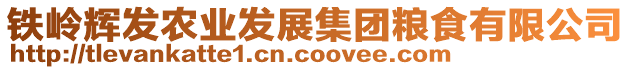 鐵嶺輝發(fā)農(nóng)業(yè)發(fā)展集團(tuán)糧食有限公司