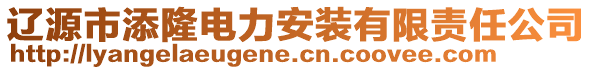 遼源市添隆電力安裝有限責(zé)任公司