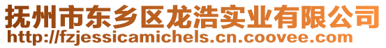 撫州市東鄉(xiāng)區(qū)龍浩實業(yè)有限公司