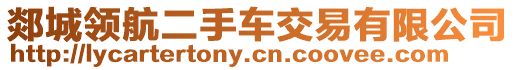 郯城領(lǐng)航二手車交易有限公司