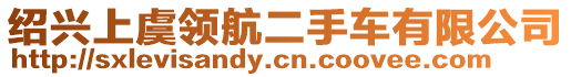 紹興上虞領(lǐng)航二手車有限公司