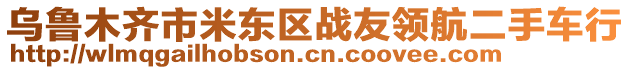 烏魯木齊市米東區(qū)戰(zhàn)友領(lǐng)航二手車行