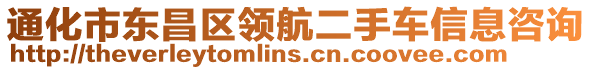 通化市東昌區(qū)領(lǐng)航二手車信息咨詢