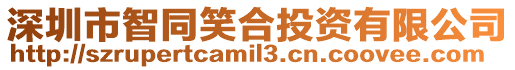 深圳市智同笑合投資有限公司