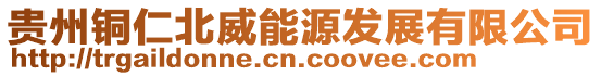貴州銅仁北威能源發展有限公司