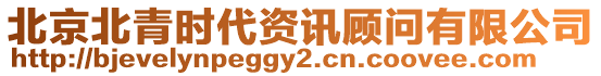 北京北青時代資訊顧問有限公司